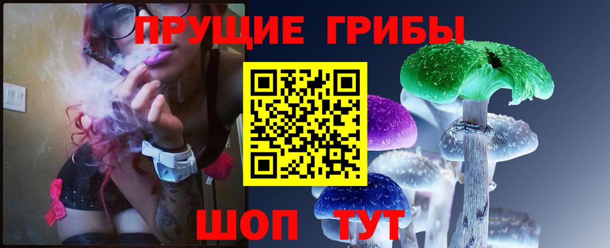 Усть-Илимск  Псилоцибиновые грибы прущие грибы  Вход с VPN 